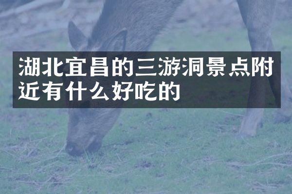 湖北宜昌的三游洞景点附近有什么好吃的