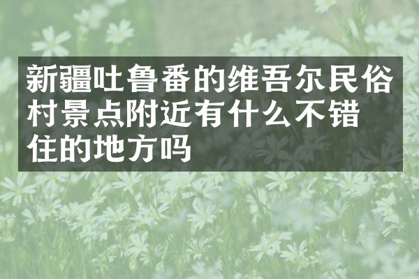 新疆吐鲁番的维吾尔民俗村景点附近有什么不错的住的地方吗