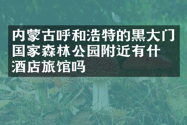 内蒙古呼和浩特的黑大门国家森林公园附近有什么酒店旅馆吗