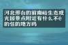 河北邢台的前南峪生态观光园景点附近有什么不错的住的地方吗