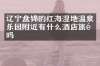 辽宁盘锦的红海湿地温泉乐园附近有什么酒店旅馆吗