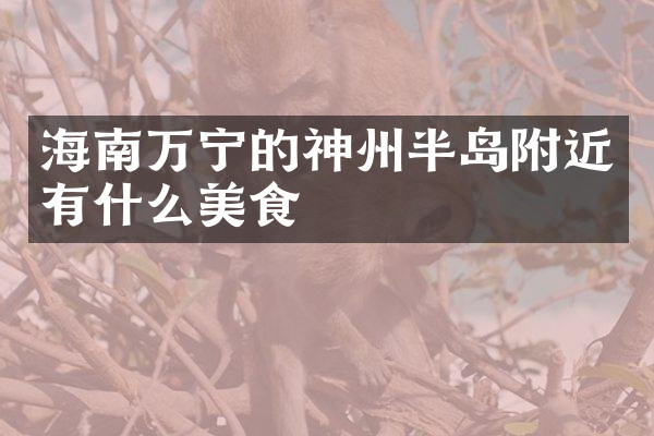 海南万宁的神州半岛附近有什么美食
