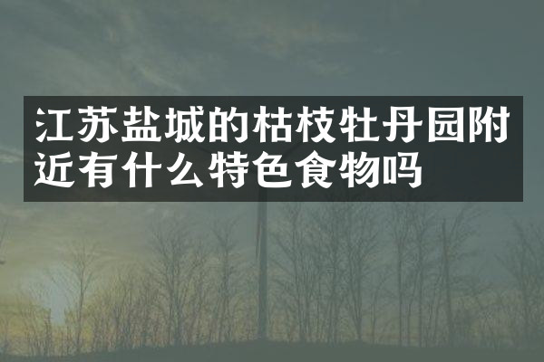 江苏盐城的枯枝牡丹园附近有什么特色食物吗