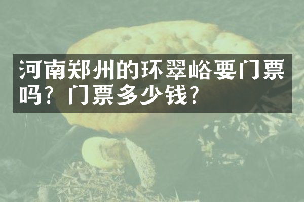 河南郑州的环翠峪要门票吗？门票多少钱？