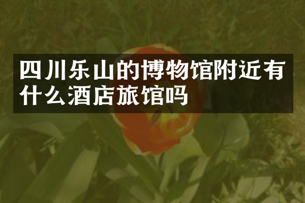 四川乐山的博物馆附近有什么酒店旅馆吗
