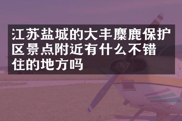 江苏盐城的大丰麋鹿保护区景点附近有什么不错的住的地方吗