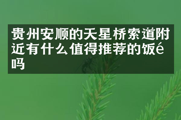 贵州安顺的天星桥索道附近有什么值得推荐的饭馆吗