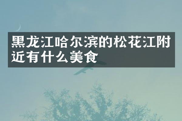黑龙江哈尔滨的松花江附近有什么美食