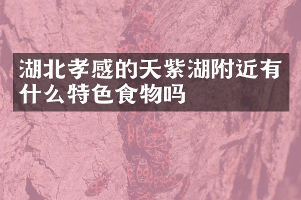 湖北孝感的天紫湖附近有什么特色食物吗