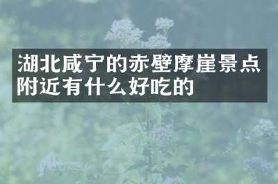 湖北咸宁的赤壁摩崖景点附近有什么好吃的