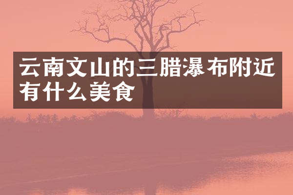 云南文山的三腊瀑布附近有什么美食