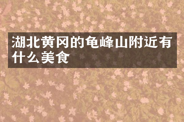 湖北黄冈的龟峰山附近有什么美食