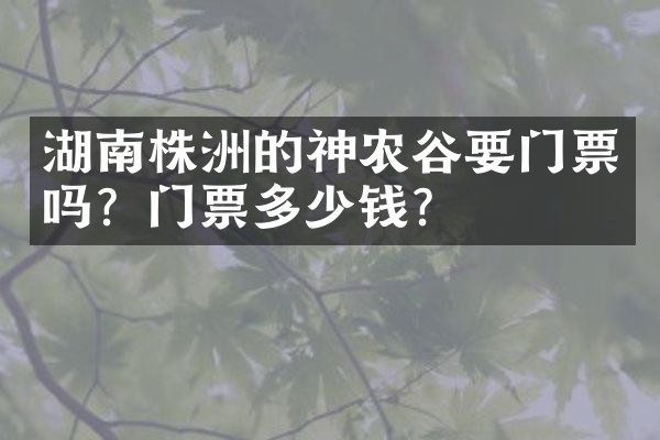 湖南株洲的神农谷要门票吗？门票多少钱？