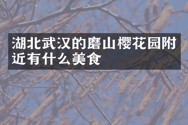 湖北武汉的磨山樱花园附近有什么美食