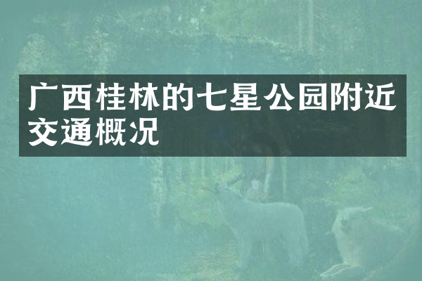 广西桂林的七星公园附近交通概况