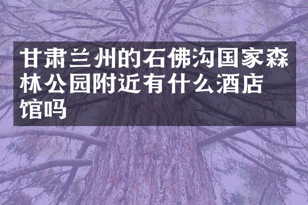 甘肃兰州的石佛沟国家森林公园附近有什么酒店旅馆吗