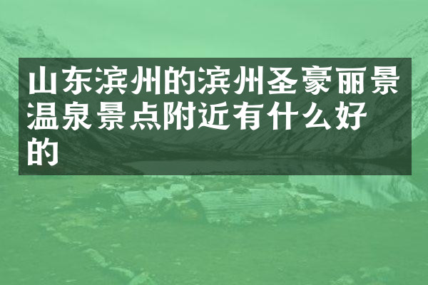 山东滨州的滨州圣豪丽景温泉景点附近有什么好吃的