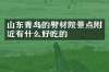 山东青岛的劈材院景点附近有什么好吃的