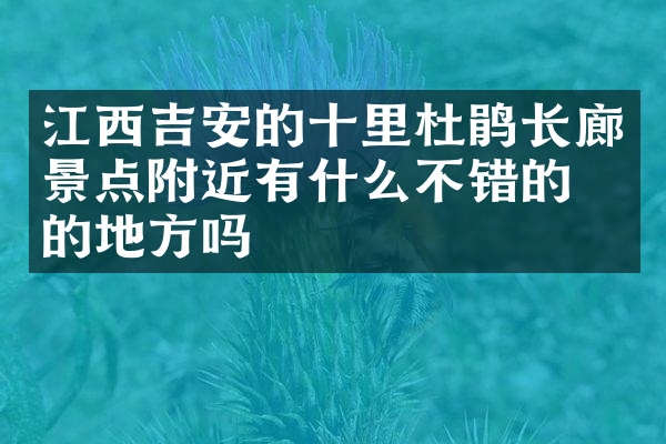 江西吉安的十里杜鹃长廊景点附近有什么不错的住的地方吗