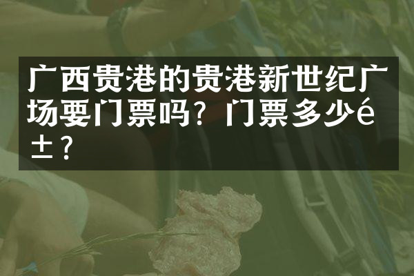 广西贵港的贵港新世纪广场要门票吗？门票多少钱？