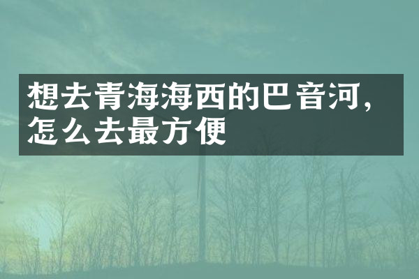 想去青海海西的巴音河，怎么去最方便