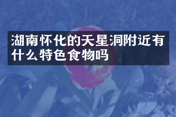 湖南怀化的天星洞附近有什么特色食物吗