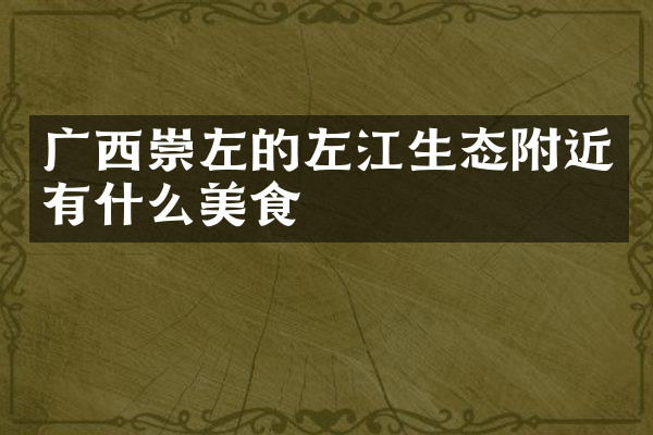 广西崇左的左江生态附近有什么美食