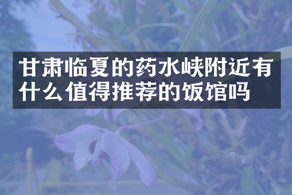 甘肃临夏的药水峡附近有什么值得推荐的饭馆吗