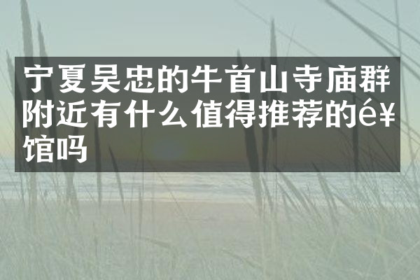 宁夏吴忠的牛首山寺庙群附近有什么值得推荐的饭馆吗