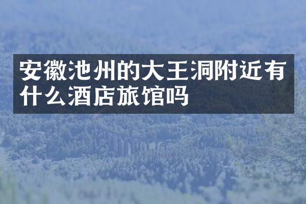 安徽池州的大王洞附近有什么酒店旅馆吗