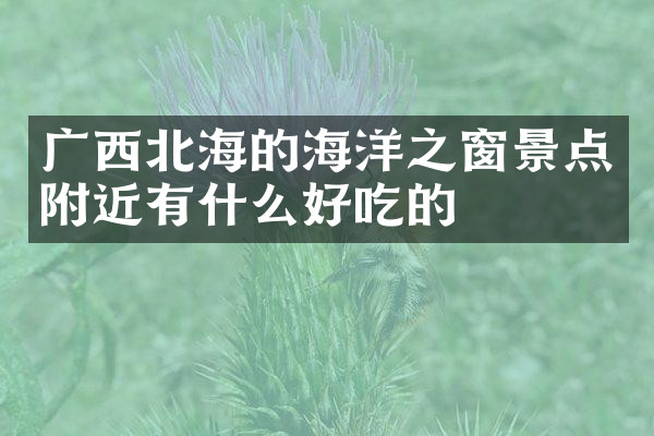 广西北海的海洋之窗景点附近有什么好吃的