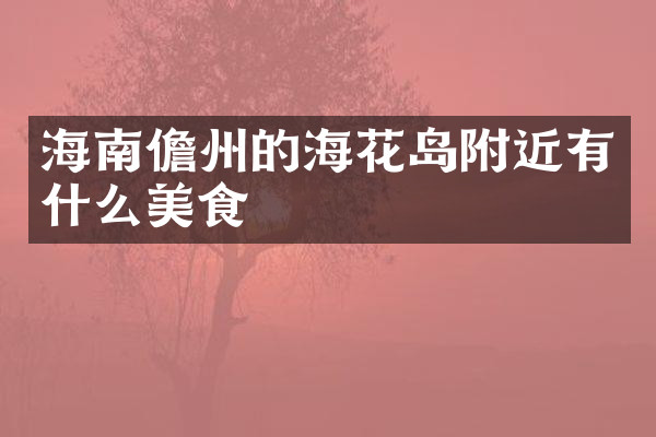 海南儋州的海花岛附近有什么美食
