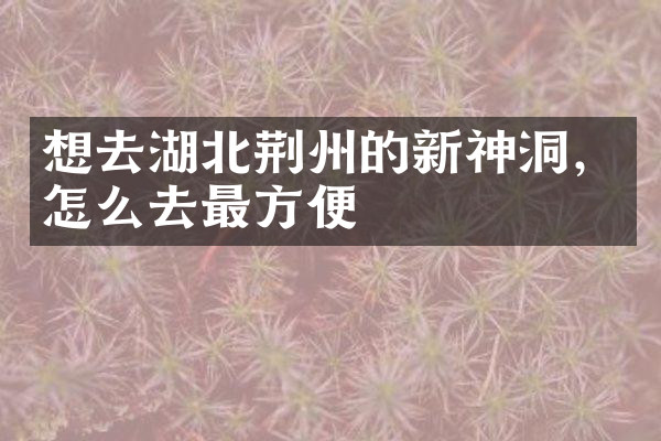 想去湖北荆州的新神洞，怎么去最方便