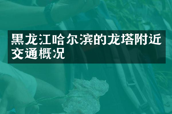 黑龙江哈尔滨的龙塔附近交通概况