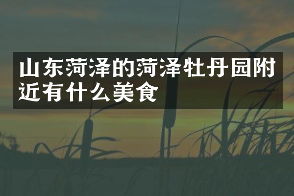 山东菏泽的菏泽牡丹园附近有什么美食