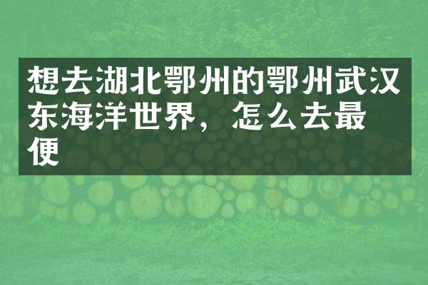 想去湖北鄂州的鄂州武汉东海洋世界，怎么去最方便