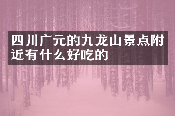 四川广元的九龙山景点附近有什么好吃的