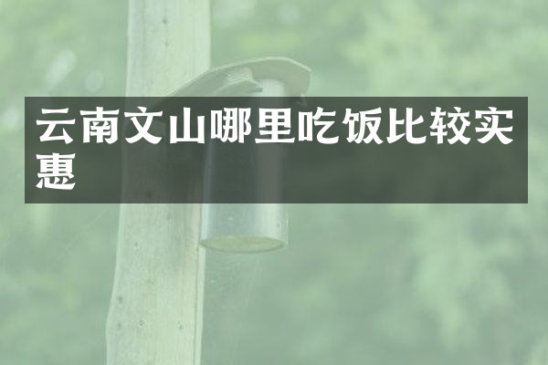 云南文山哪里吃饭比较实惠
