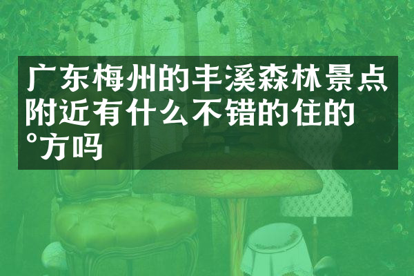 广东梅州的丰溪森林景点附近有什么不错的住的地方吗