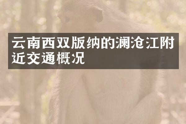 云南西双版纳的澜沧江附近交通概况