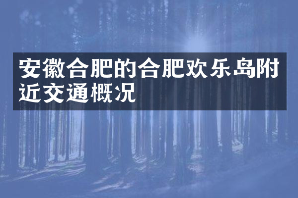 安徽合肥的合肥欢乐岛附近交通概况