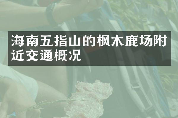 海南五指山的枫木鹿场附近交通概况