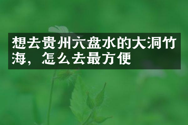 想去贵州六盘水的大洞竹海，怎么去最方便