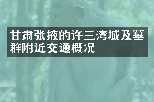 甘肃张掖的许三湾城及墓群附近交通概况