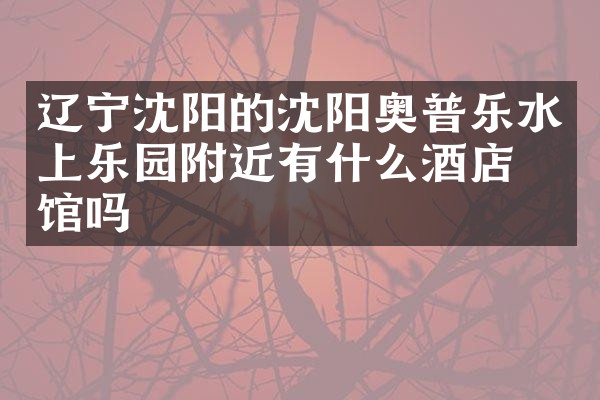 辽宁沈阳的沈阳奥普乐水上乐园附近有什么酒店旅馆吗