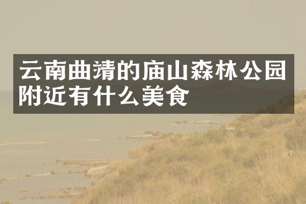 云南曲靖的庙山森林公园附近有什么美食