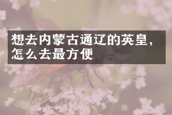 想去内蒙古通辽的英皇，怎么去最方便