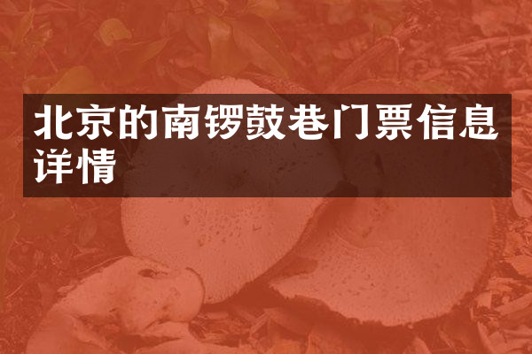 北京的南锣鼓巷门票信息详情