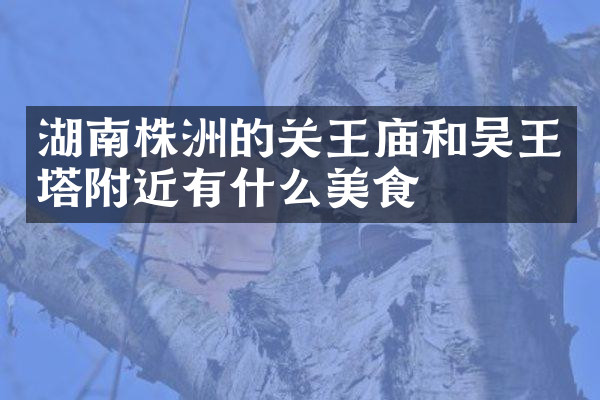 湖南株洲的关王庙和吴王塔附近有什么美食