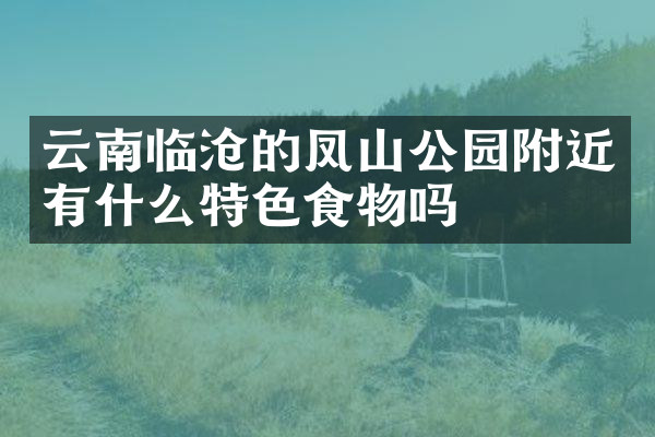 云南临沧的凤山公园附近有什么特色食物吗